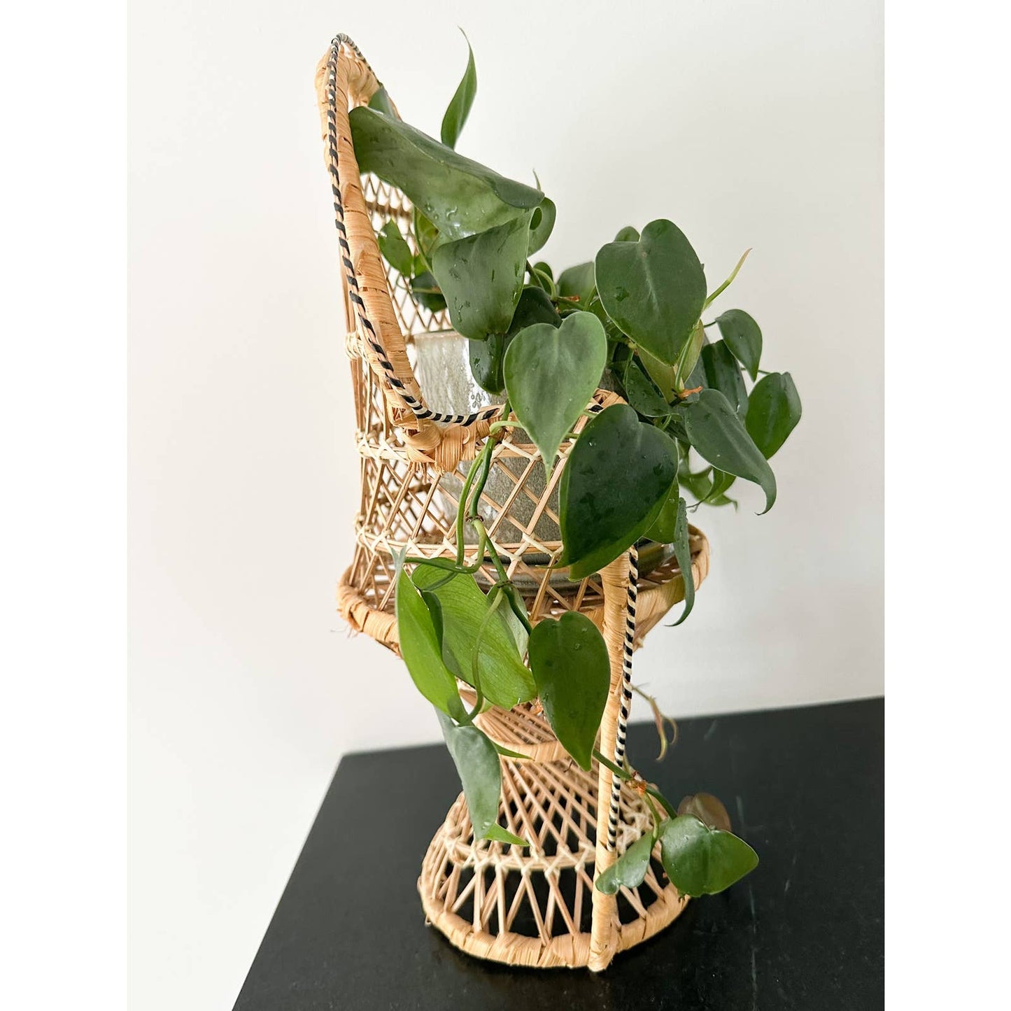 Vintage Rattan Chair Plant Stand