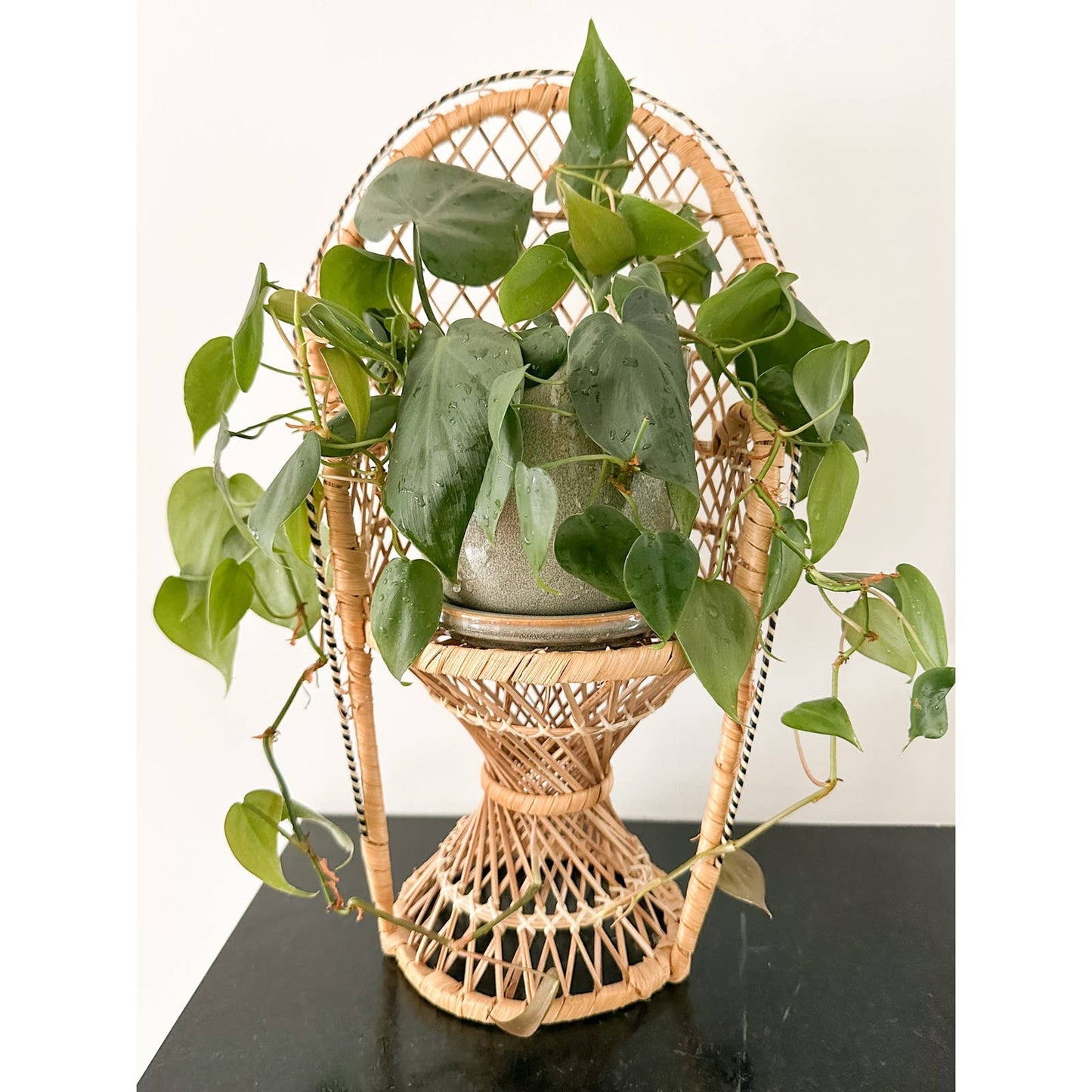Vintage Rattan Chair Plant Stand